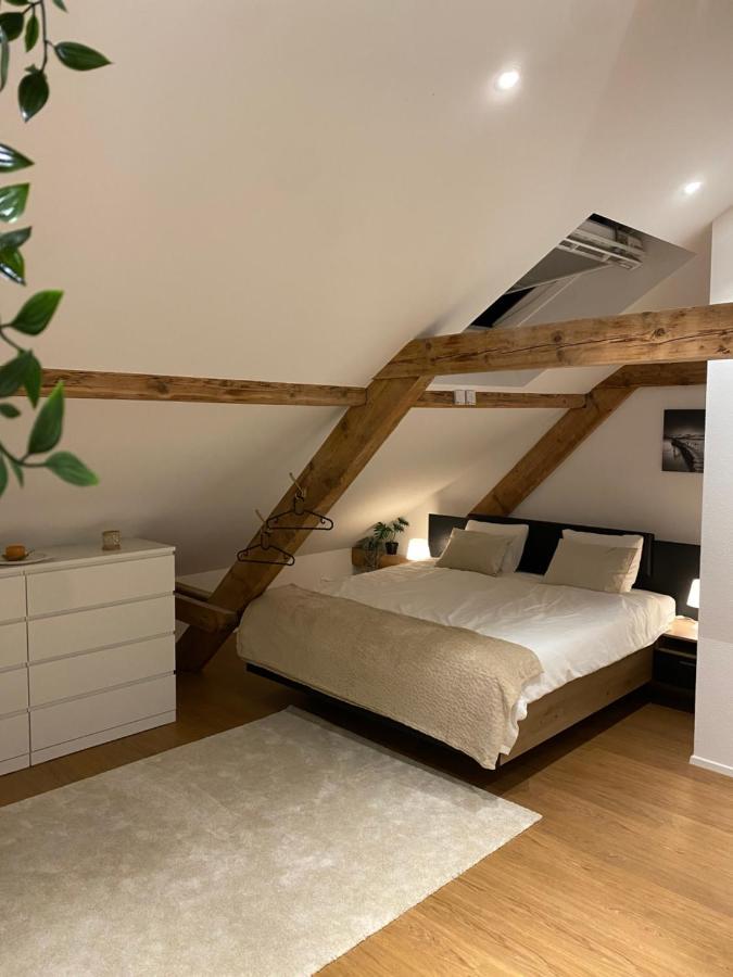 Appartement Eine Schoene An Der Birs Bazel