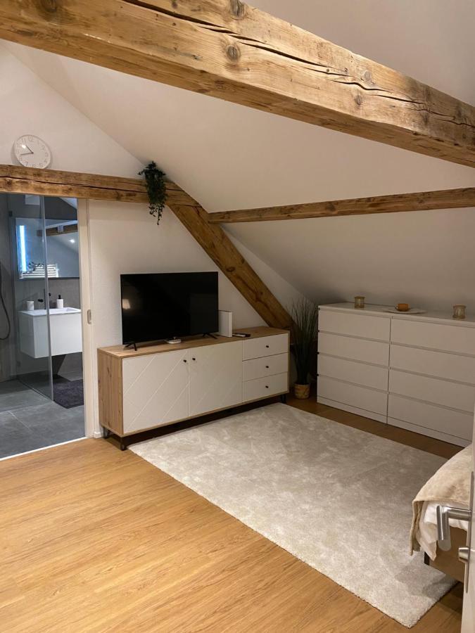 Appartement Eine Schoene An Der Birs Bazel