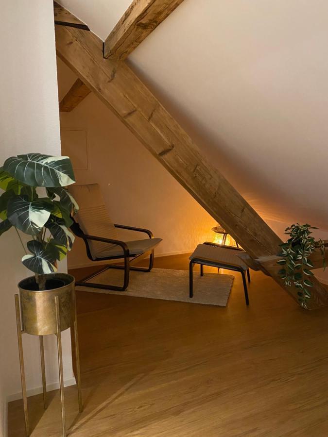 Eine Schoene An Der Birs Appartement Bazel